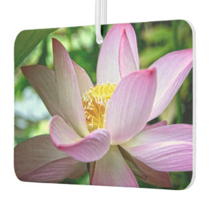 Désodorisant Pour Voiture Thème de fleurs de lotus mignonnes