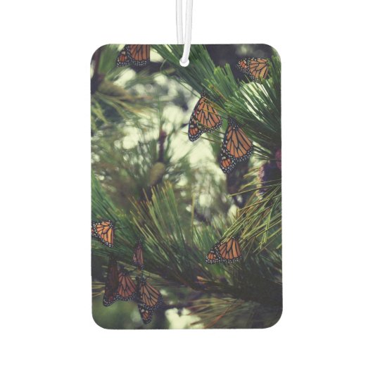 DÉSODORISANT POUR VOITURE THEMONARCHS MONARCHS 3  (Dos)