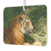 Désodorisant Pour Voiture Tigre (Gauche)