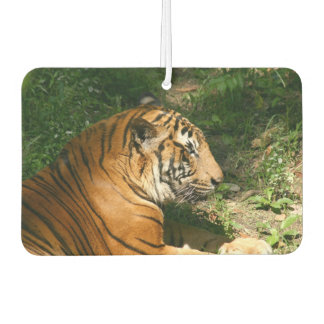 Désodorisant Pour Voiture Tigre