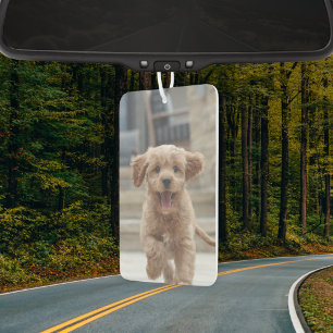 Désodorisant Pour Voiture Ton chien   2 Photo Télécharger Cute Pet Picture