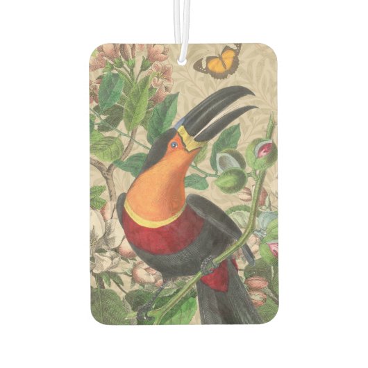 Désodorisant Pour Voiture Toucan Jungle Tropical Bird Belle antique (Dos)