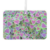 Désodorisant Pour Voiture Trailing Burgundy Coleus (Dos)