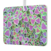 Désodorisant Pour Voiture Trailing Burgundy Coleus (Gauche)