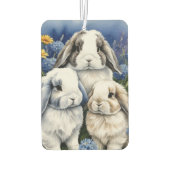 Désodorisant Pour Voiture Trois petits lapins lapins de lapin de lop (Dos)