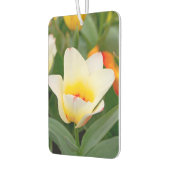 Désodorisant Pour Voiture Tulipe blanche (Gauche)