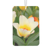 Désodorisant Pour Voiture Tulipe blanche (Dos)