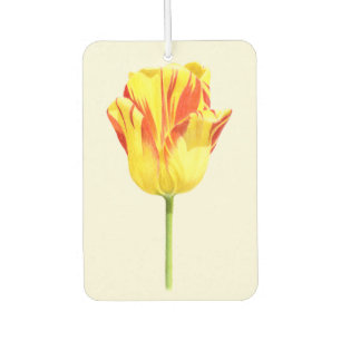 Désodorisant Pour Voiture Tulipe jaune et rouge