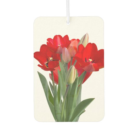 Désodorisant Pour Voiture Tulipes (Devant)
