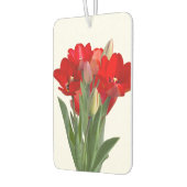 Désodorisant Pour Voiture Tulipes (Gauche)