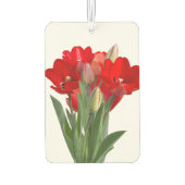 Désodorisant Pour Voiture Tulipes (Dos)