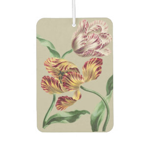 Désodorisant Pour Voiture Tulipes Botaniques du 18ème Siècle de Style Vintag