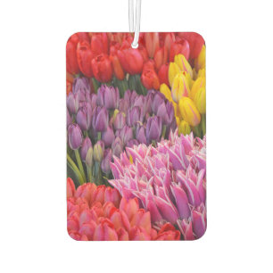 Désodorisant Pour Voiture Tulipes colorées