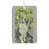 Désodorisant Pour Voiture Tuxedo (Devant)