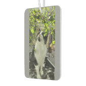 Désodorisant Pour Voiture Tuxedo (Gauche)