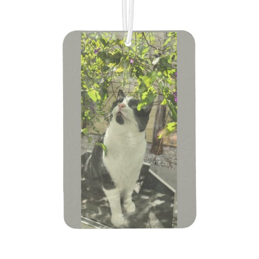 Désodorisant Pour Voiture Tuxedo (Dos)