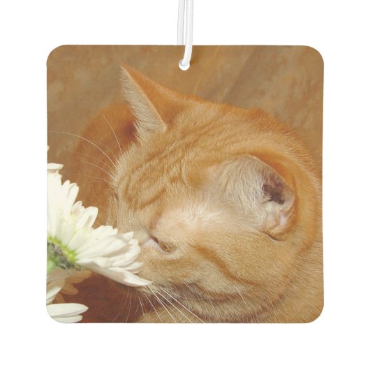 Désodorisant Pour Voiture Un chat tabby orange sent les fleurs (Dos)