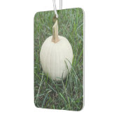 Désodorisant Pour Voiture Un petit Citrouille blanc (Gauche)