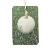 Désodorisant Pour Voiture Un petit Citrouille blanc (Dos)