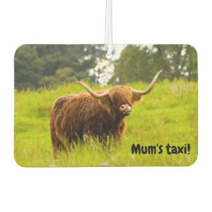 Désodorisant pour voiture vache des Highlands