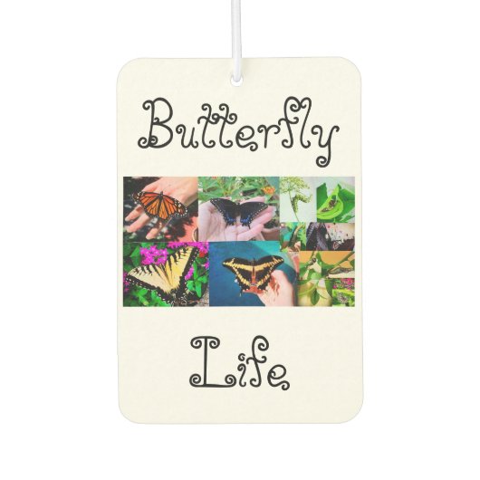 Désodorisant Pour Voiture Vie papillon (Devant)