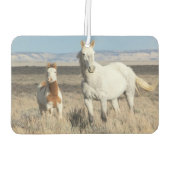 Désodorisant Pour Voiture Wild Horses at Home in the Sandwash Basin (Dos)