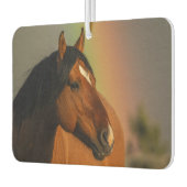 Désodorisant Pour Voiture Wild Stallion, Golden Light and Rainbow (Gauche)