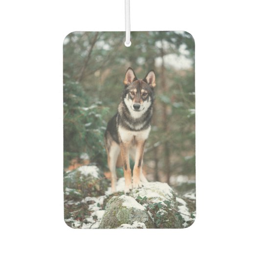 Désodorisant Pour Voiture Wolfdog (Devant)