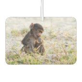 Désodorisant Pour Voiture Young Baboon (Devant)
