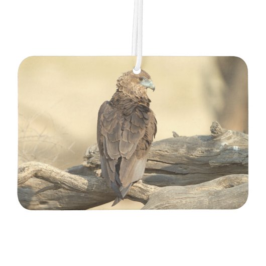 Désodorisant Pour Voiture Young Bateleur (Dos)