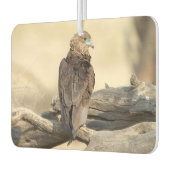 Désodorisant Pour Voiture Young Bateleur (Gauche)