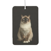 Désodorisants de voiture Black 4 Luxe, Chat Birman (Devant)