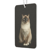 Désodorisants de voiture Black 4 Luxe, Chat Birman (Gauche)