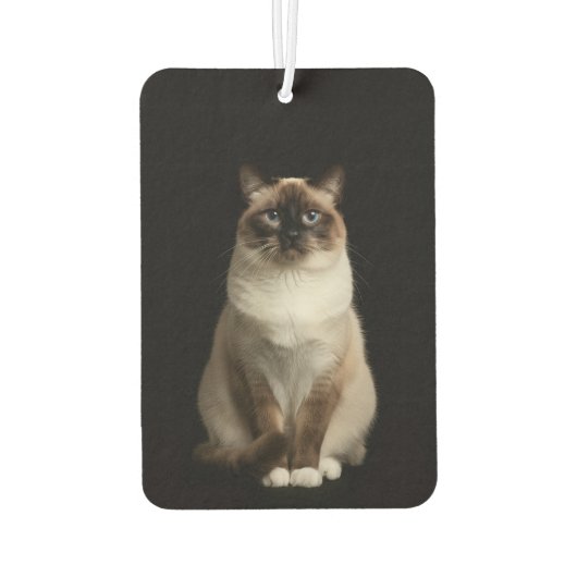 Désodorisants de voiture Black 4 Luxe, Chat Birman (Dos)
