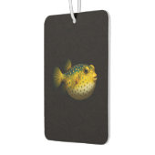 Désodorisants de voiture Black 4 Luxe, Poisson-gre (Gauche)
