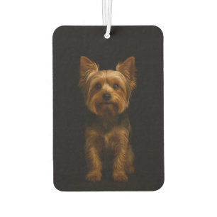 Désodorisants de voiture Black 4 Luxe Yorkshire Te