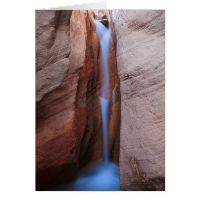 Desolate Oasis (Voorkant)