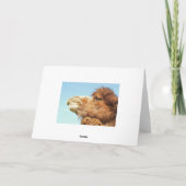 Désolé - Carte (Dos)