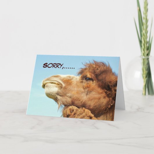 Désolé - Carte (Devant)