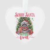 Désolé Père Noël, j'ai été (dos)