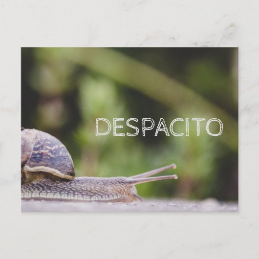 Despacito Briefkaart (Voorkant)