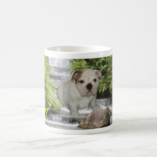 Despote de tasse d'amour de chiot de bouledogue