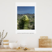 Dessert Bloom Poster (Keuken)