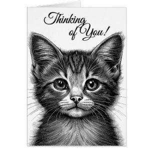 Dessin adorable de Jeune Chat blanc à l'intérieur