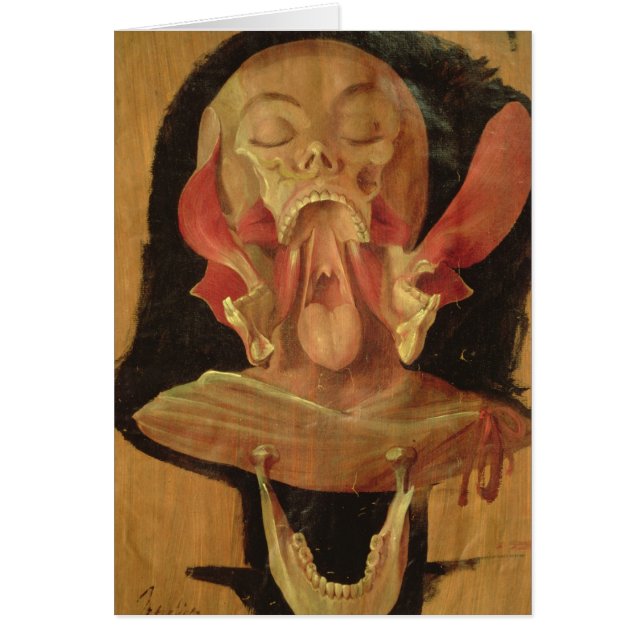 Dessin anatomique de la tête (Devant)