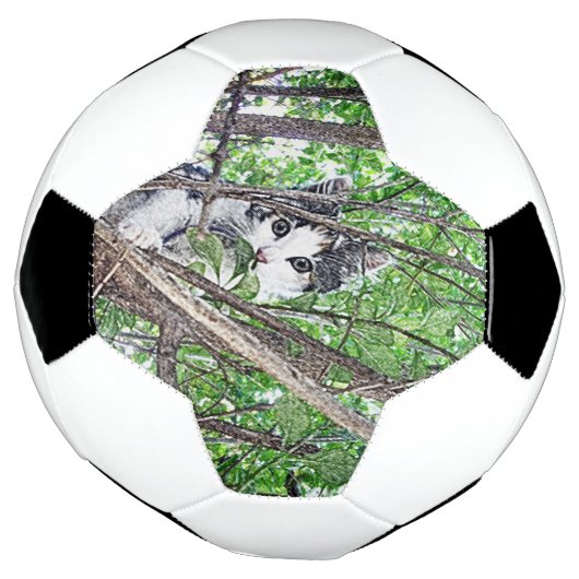 Dessin au crayon de chaton, (Tourné)