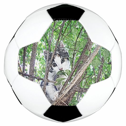 Dessin au crayon de chaton, (Devant)