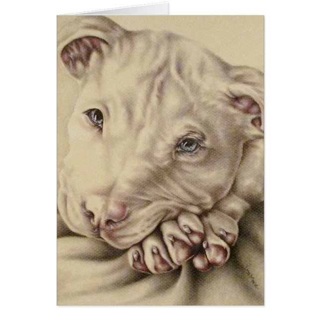 Dessin blanc de pitbull avec des yeux bleus sur la (Devant)