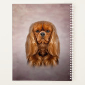Dessin Chien Cavalier King Charles Spaniel (Dos)