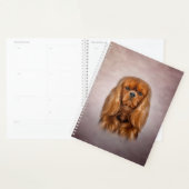 Dessin Chien Cavalier King Charles Spaniel (Devant avec enveloppe)